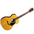 000E Retro Plus Granadillo + housse Martin Guitars