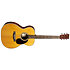 000E Retro Plus Granadillo + housse Martin Guitars