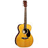 000E Retro Plus Granadillo + housse Martin Guitars