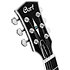 CR300 Deluxe Flaming Burst Cort