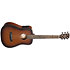 Earth Go Hyvibe Brown Burst + Housse Cort
