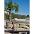 OD Stone 8 Calcaire Focal
