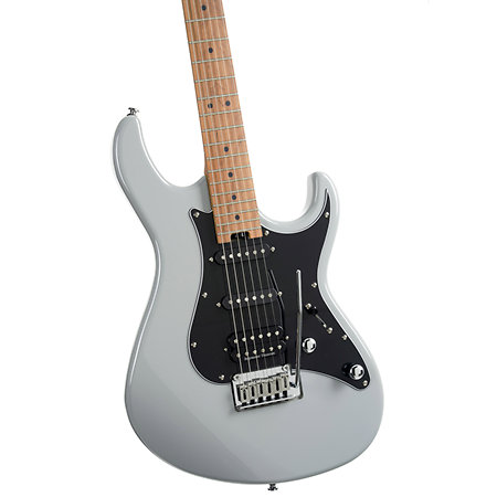 G290 Modern Pale Graphite Cort