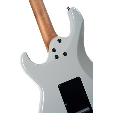 G290 Modern Pale Graphite Cort