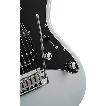 G290 Modern Pale Graphite Cort