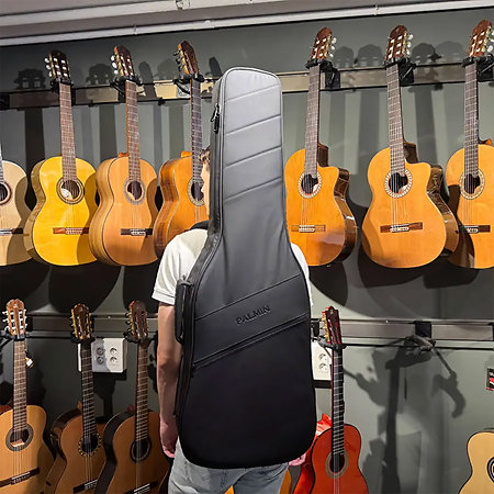 Guitar Case GC CITY Bass black Palmin