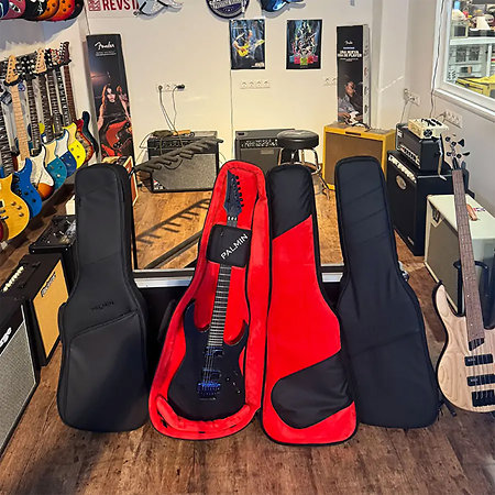 Guitar Case GC COMFORT Classic Black Palmin