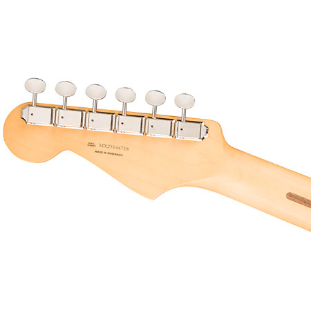 Player II Stratocaster HSS Cactus Gray Fender