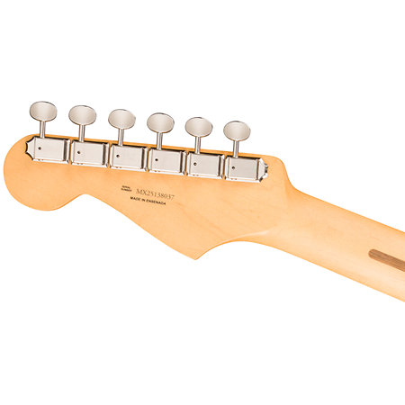 Player II Stratocaster Cactus Gray Fender