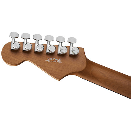 Pro-Mod Plus DK24 HH 2PT EB Raven Black Charvel