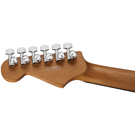 Pro-Mod Plus DK24 HH 2PT EB Celestial Silk Charvel