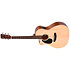 GC-10EL Naturel Gaucher Ditson