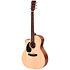 GC-10EL Naturel Gaucher Ditson