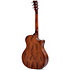GC-10EL Naturel Gaucher Ditson