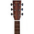 GC-10EL Naturel Gaucher Ditson