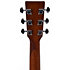 GC-10EL Naturel Gaucher Ditson