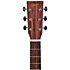 GC-10E Trans Black Satin Ditson