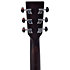 GC-10E Trans Black Satin Ditson