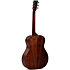 G-10 Naturel Ditson
