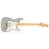 Player II Stratocaster HSS Cactus Gray Fender