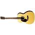 000-12E Retro LH + housse Martin Guitars