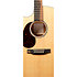 GPC-13E Modern LH + housse Martin Guitars