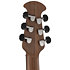 E Acoustic Guitar 156SP 5 G Evolution Series Deep Cutaway Adamas
