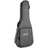 D-15E + housse Martin Guitars