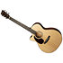 GPC-16E Rosewood LH + housse Martin Guitars