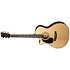 GPC-16E Rosewood LH + housse Martin Guitars