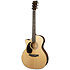 GPC-16E Rosewood LH + housse Martin Guitars