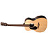 000-X2EL Sitka/Faux Brazilian Rosewood HPL LH + housse Martin Guitars