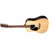 D-X2EL Brazilian Rosewood 12-String LH + housse Martin Guitars