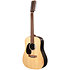 D-X2EL Brazilian Rosewood 12-String LH + housse Martin Guitars