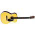 00-28 GE + étui Martin Guitars