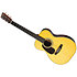 00-28 GE LH + étui Martin Guitars