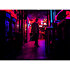 EVIVA 12P (la paire) Electro-Voice