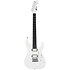 Pro-Mod Plus DK24 HH 2PT EB Celestial Silk Charvel