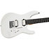 Pro-Mod Plus DK24 HH 2PT EB Celestial Silk Charvel