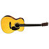 000-28 Golden Era + étui Martin Guitars