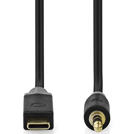 Nedis CCBW65950AT10 - Adaptateur USB C/MiniJack