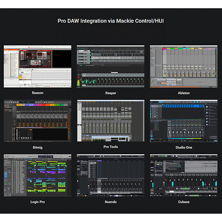 Artist 25X Icon Pro Audio