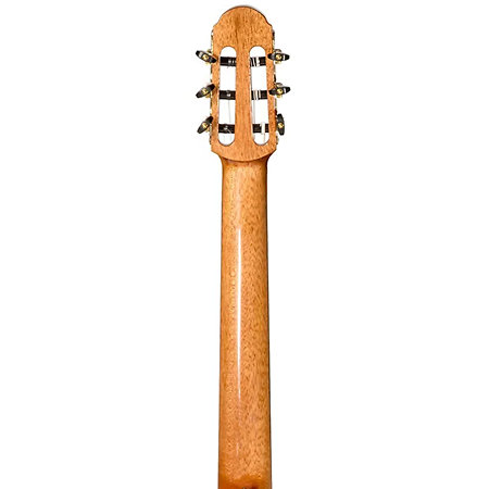 Performer MS-14RS + Housse Martinez