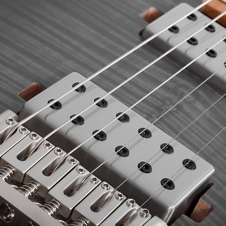 C-1 Standard Plus Transparent Black Burst Schecter