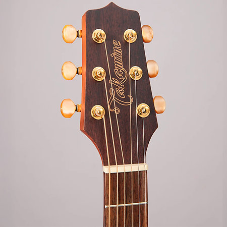 GX31CE-NS Natural Satin 3/4 Takamine