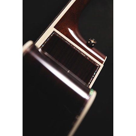 Nex Cutaway Electro P10NC Takamine