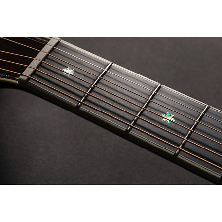 Nex Cutaway Electro P10NC Takamine