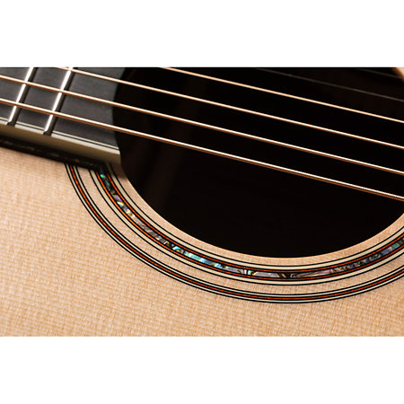 Nex Cutaway Electro P10NC Takamine
