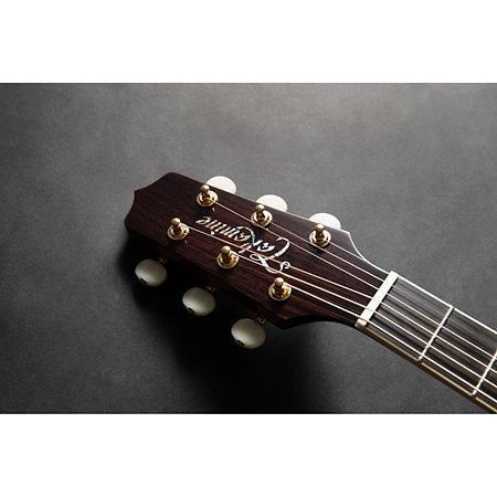 Nex Cutaway Electro RNV460C + housse Takamine