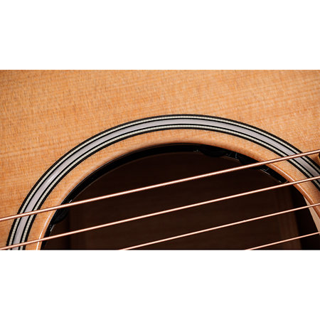 Builder's Edition 514ce Natural Next Generation + Etui Taylor